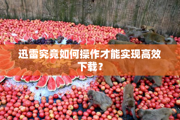 迅雷究竟如何操作才能实现高效下载？