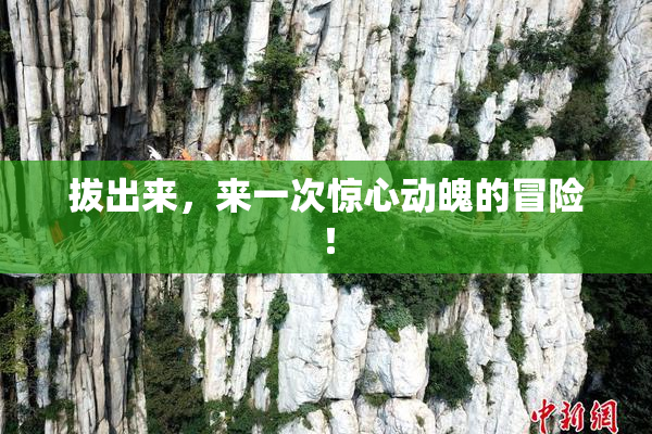 拔出来，来一次惊心动魄的冒险！