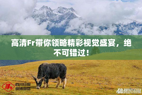 高清Fr带你领略精彩视觉盛宴，绝不可错过！