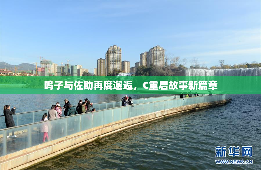 鸣子与佐助再度邂逅，C重启故事新篇章
