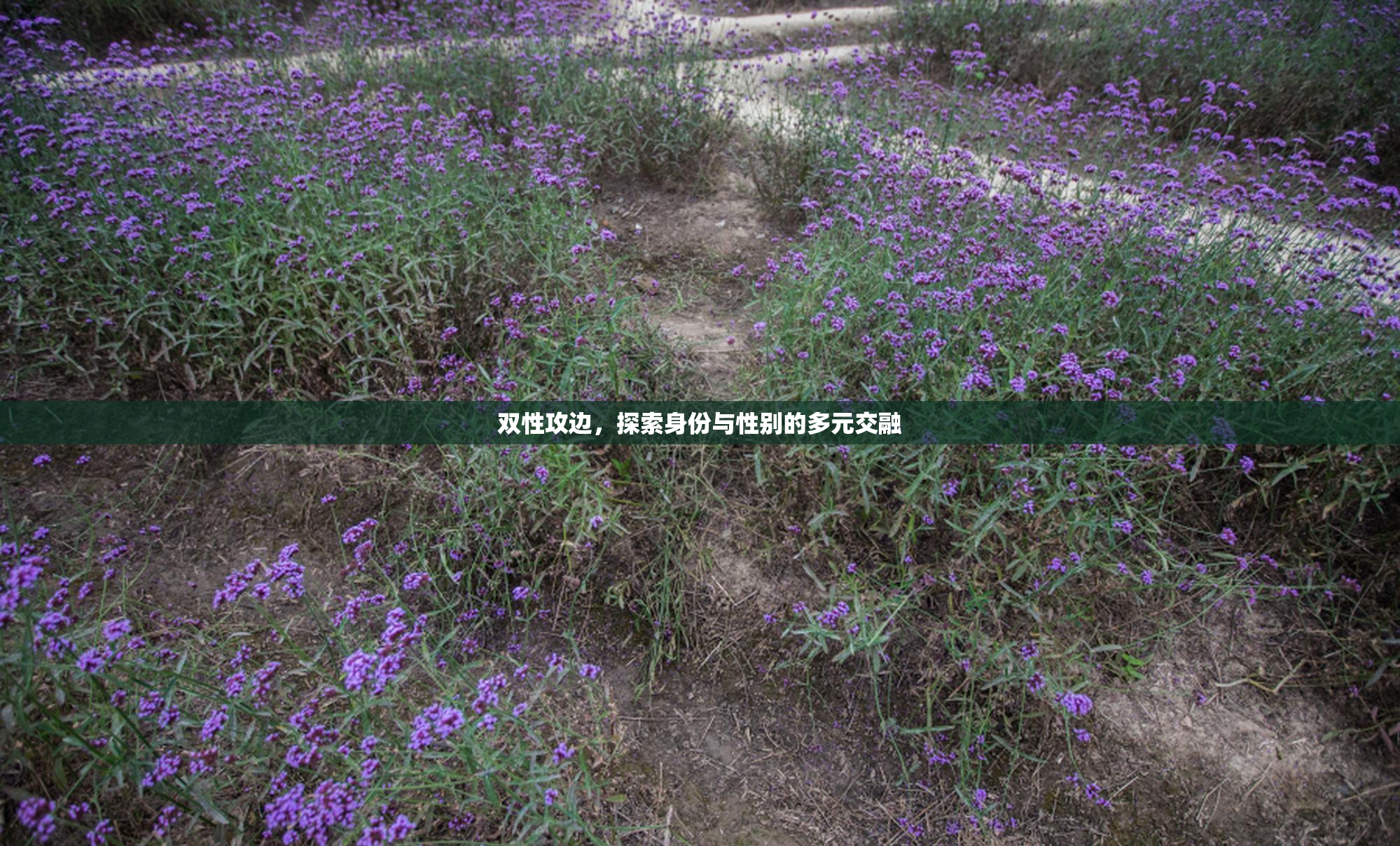 双性攻边，探索身份与性别的多元交融