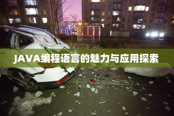 JAVA编程语言的魅力与应用探索