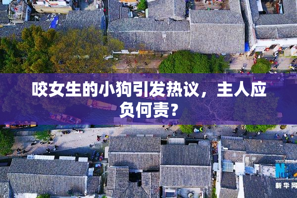 咬女生的小狗引发热议，主人应负何责？