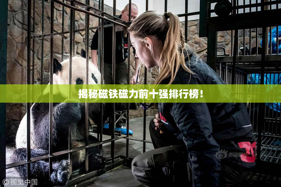 揭秘磁铁磁力前十强排行榜！