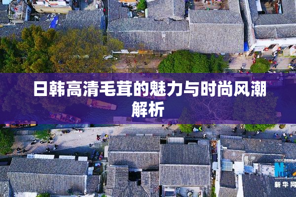 日韩高清毛茸的魅力与时尚风潮解析
