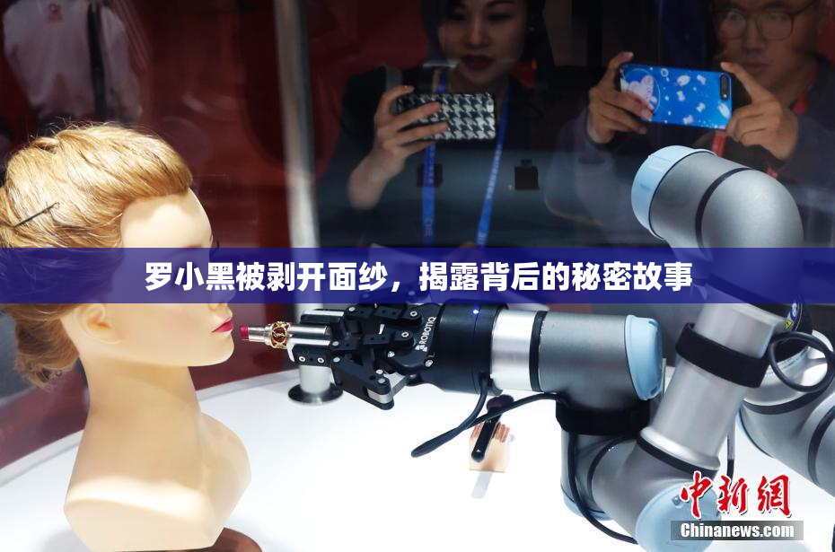 罗小黑被剥开面纱，揭露背后的秘密故事