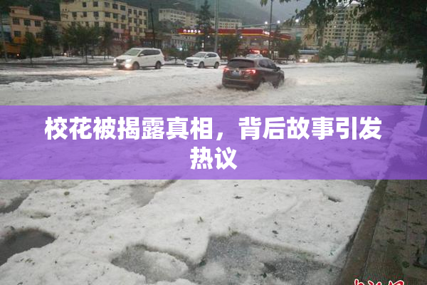 校花被揭露真相，背后故事引发热议