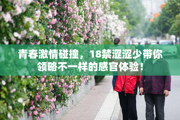 青春激情碰撞，18禁涩涩少带你领略不一样的感官体验！