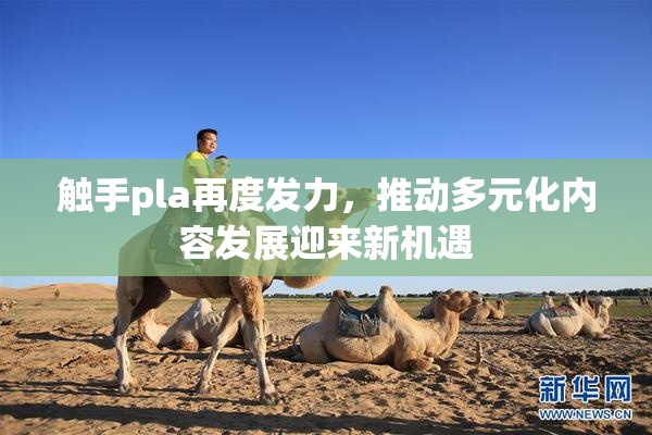 触手pla再度发力，推动多元化内容发展迎来新机遇