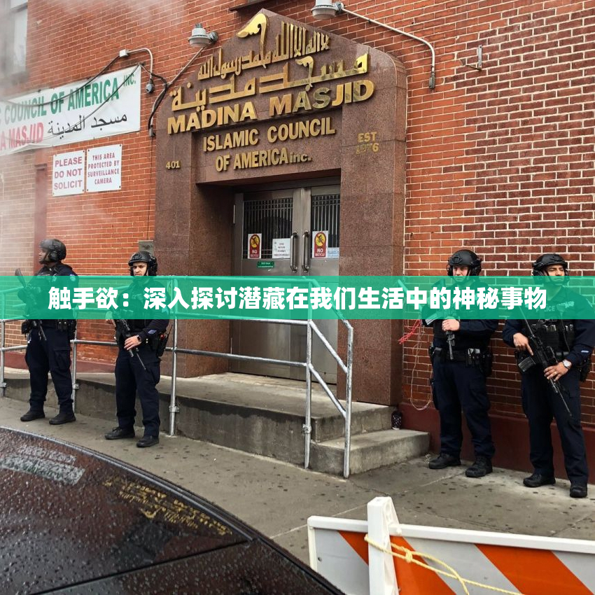 触手欲：深入探讨潜藏在我们生活中的神秘事物