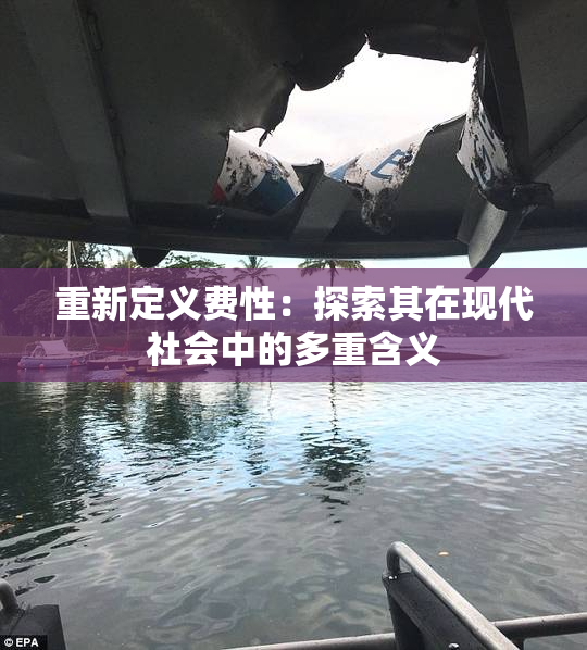 重新定义费性：探索其在现代社会中的多重含义