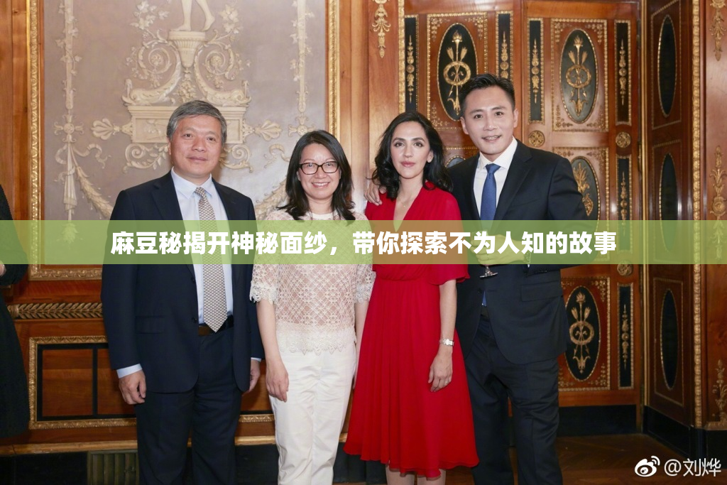 麻豆秘揭开神秘面纱，带你探索不为人知的故事