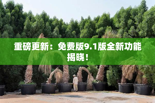 重磅更新：免费版9.1版全新功能揭晓！