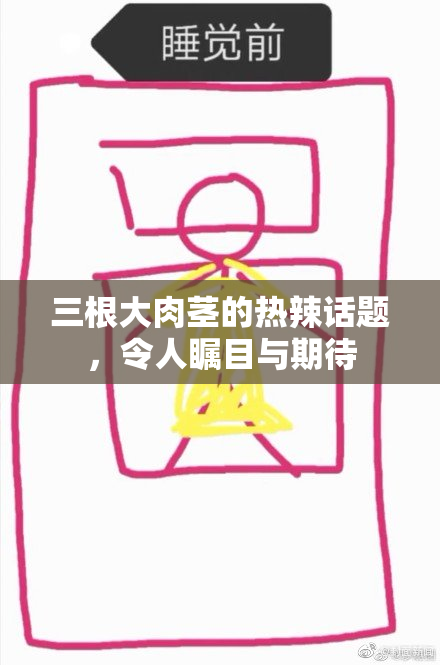 三根大肉茎的热辣话题，令人瞩目与期待