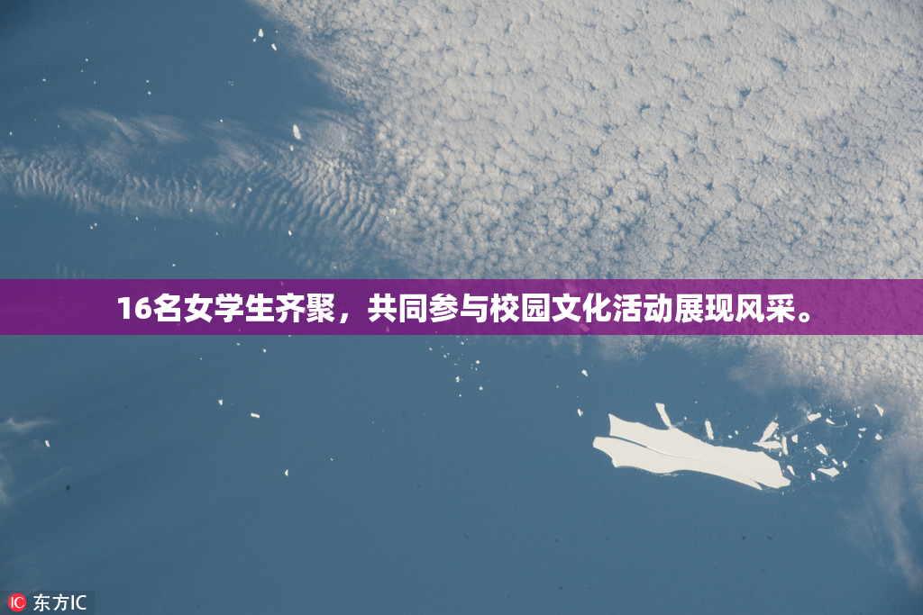 16名女学生齐聚，共同参与校园文化活动展现风采。