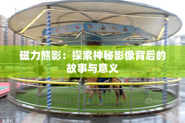 磁力熊影：探索神秘影像背后的故事与意义