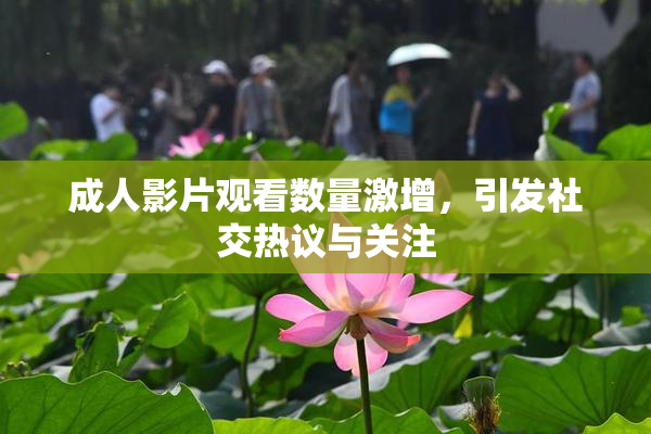 成人影片观看数量激增，引发社交热议与关注