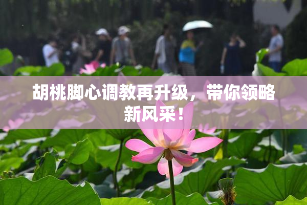 胡桃脚心调教再升级，带你领略新风采！