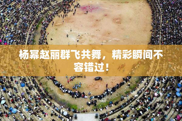 杨幂赵丽群飞共舞，精彩瞬间不容错过！