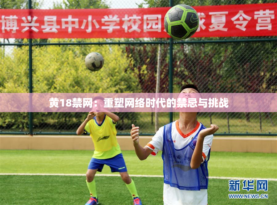 黄18禁网：重塑网络时代的禁忌与挑战