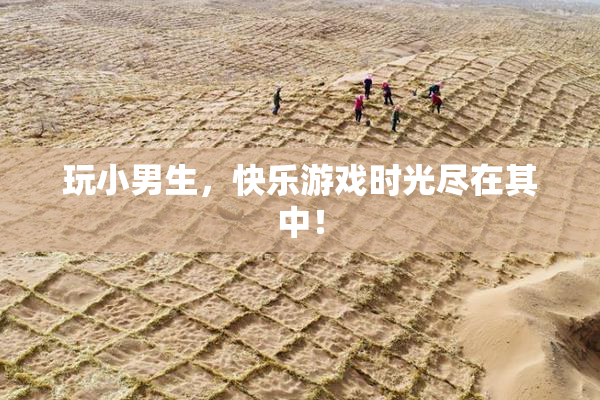 玩小男生，快乐游戏时光尽在其中！