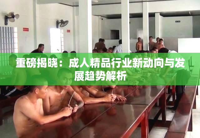 重磅揭晓：成人精品行业新动向与发展趋势解析