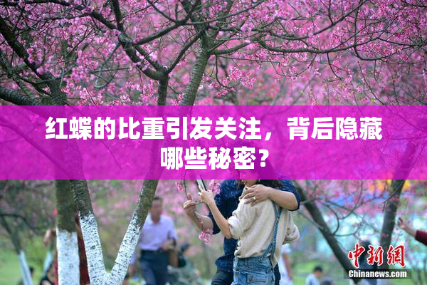 红蝶的比重引发关注，背后隐藏哪些秘密？