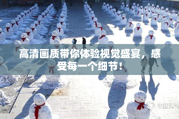 高清画质带你体验视觉盛宴，感受每一个细节！
