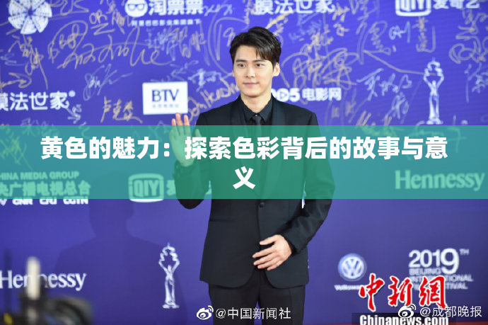 黄色的魅力：探索色彩背后的故事与意义