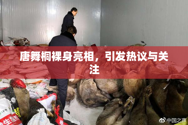 唐舞桐裸身亮相，引发热议与关注