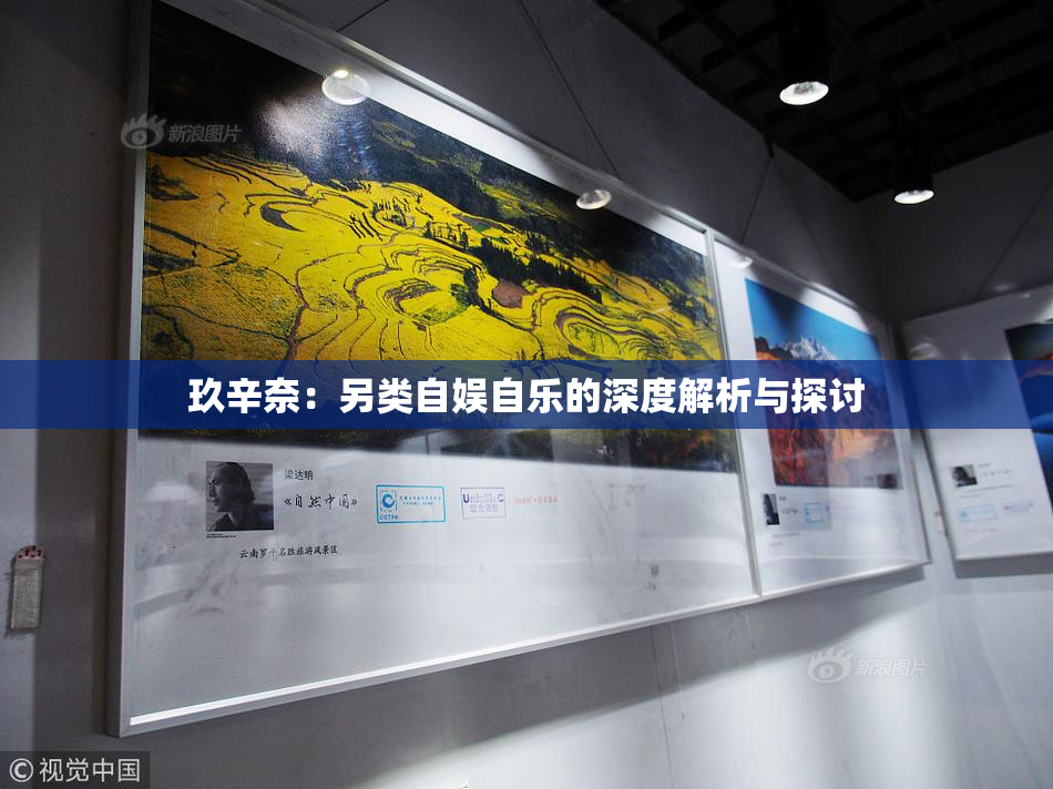 玖辛奈：另类自娱自乐的深度解析与探讨