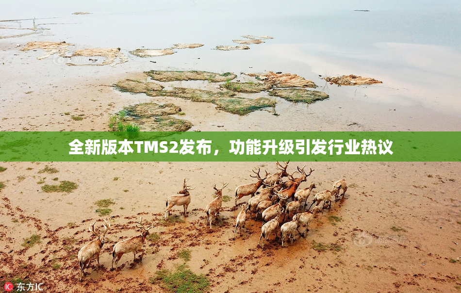 全新版本TMS2发布，功能升级引发行业热议
