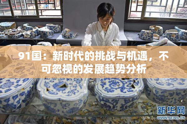 91国：新时代的挑战与机遇，不可忽视的发展趋势分析