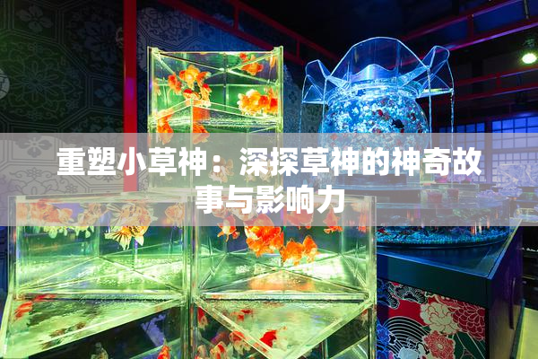 重塑小草神：深探草神的神奇故事与影响力