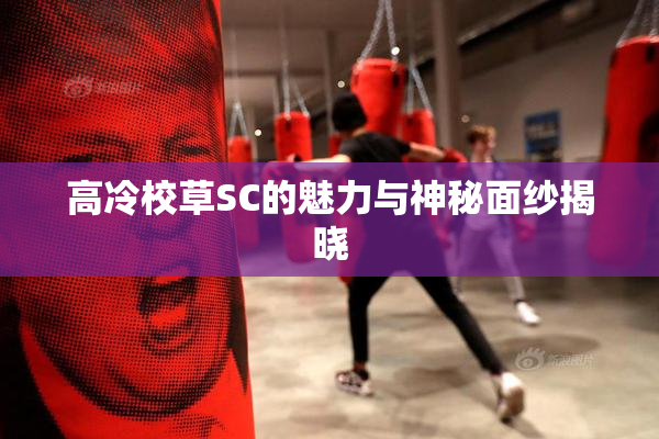 高冷校草SC的魅力与神秘面纱揭晓