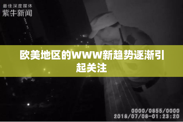 欧美地区的WWW新趋势逐渐引起关注