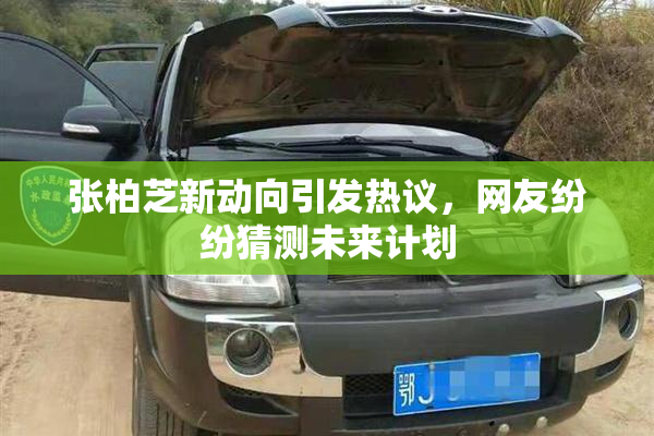 张柏芝新动向引发热议，网友纷纷猜测未来计划