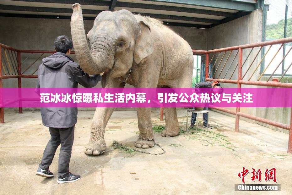 范冰冰惊曝私生活内幕，引发公众热议与关注