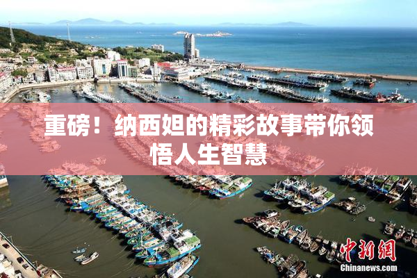 重磅！纳西妲的精彩故事带你领悟人生智慧