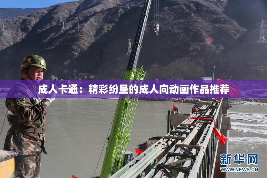 成人卡通：精彩纷呈的成人向动画作品推荐