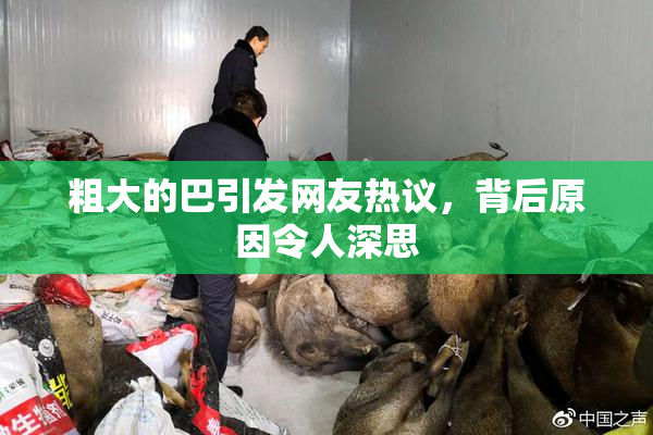 粗大的巴引发网友热议，背后原因令人深思