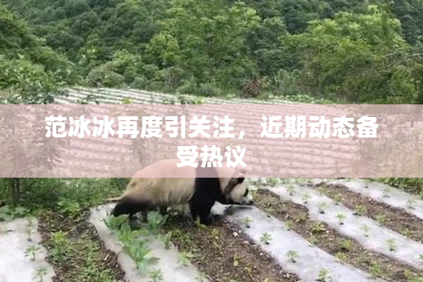范冰冰再度引关注，近期动态备受热议