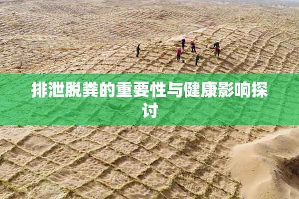 排泄脱粪的重要性与健康影响探讨