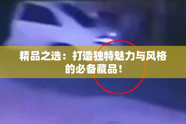 精品之选：打造独特魅力与风格的必备藏品！