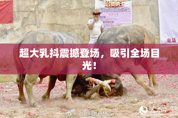 超大乳抖震撼登场，吸引全场目光！