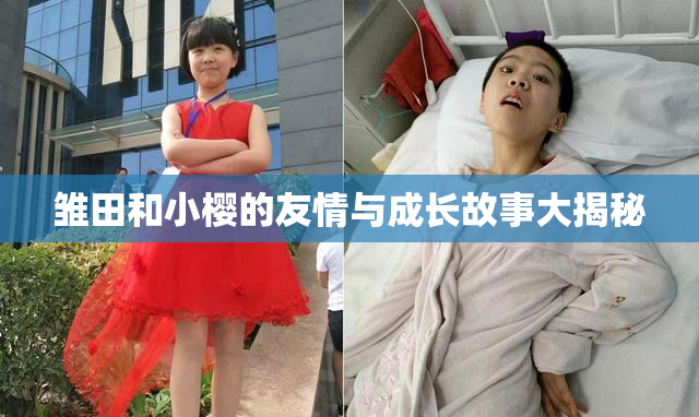 雏田和小樱的友情与成长故事大揭秘
