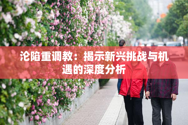 沦陷重调教：揭示新兴挑战与机遇的深度分析