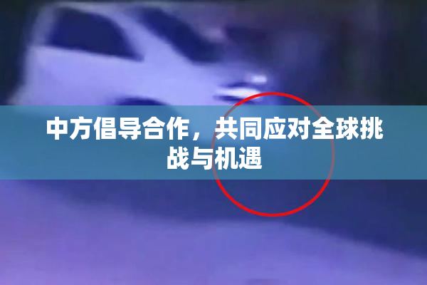 中方倡导合作，共同应对全球挑战与机遇