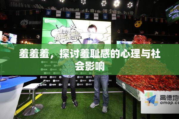 羞羞羞，探讨羞耻感的心理与社会影响