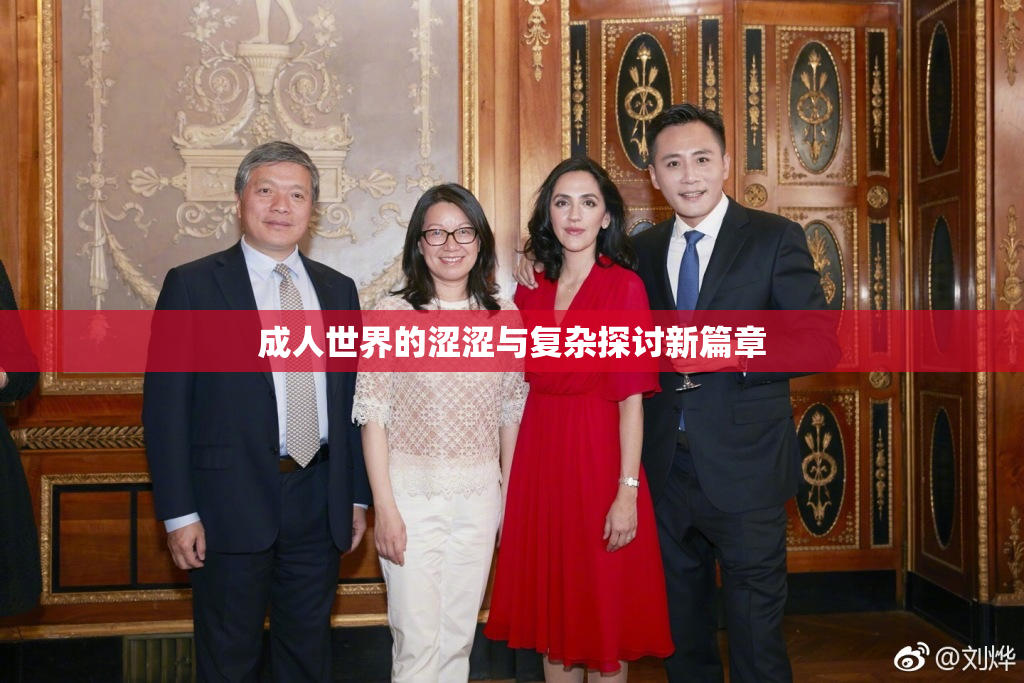 成人世界的涩涩与复杂探讨新篇章